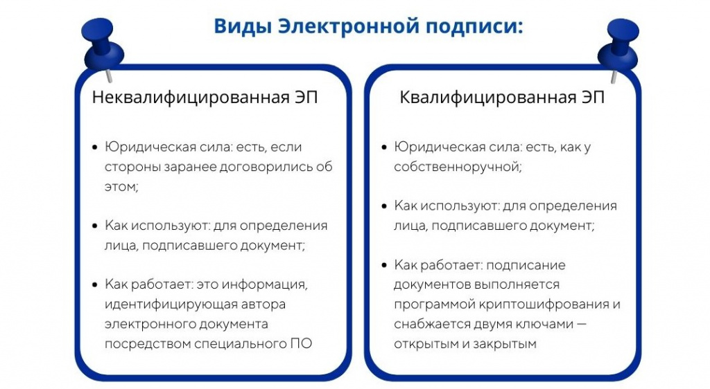 Виды инфографика.jpg Виды инфографика.jpg